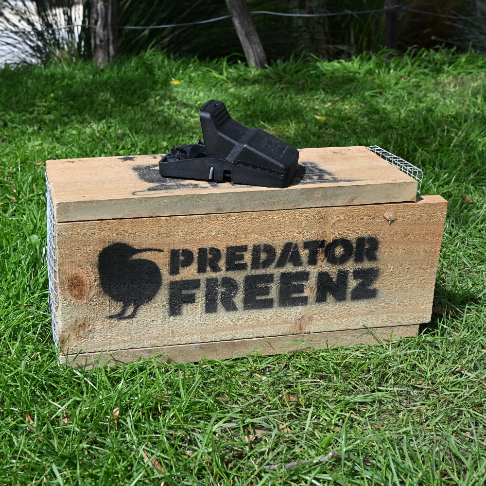 T-Rex rat trap in tunnel – Predator Free NZ Online Shop