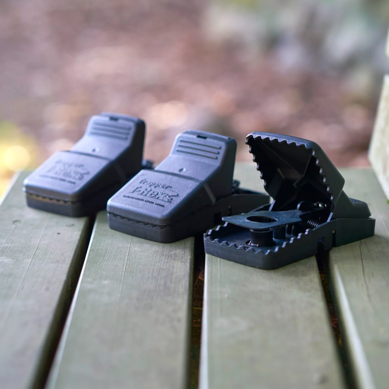 Multiple black T-Rex traps