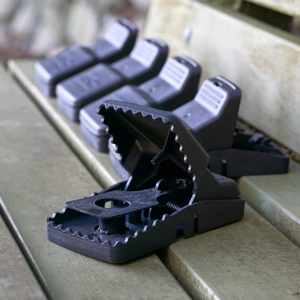 Multiple black T-Rex traps