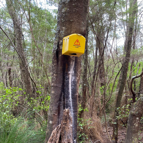 Flipping Timmy for possums (incl. shipping)