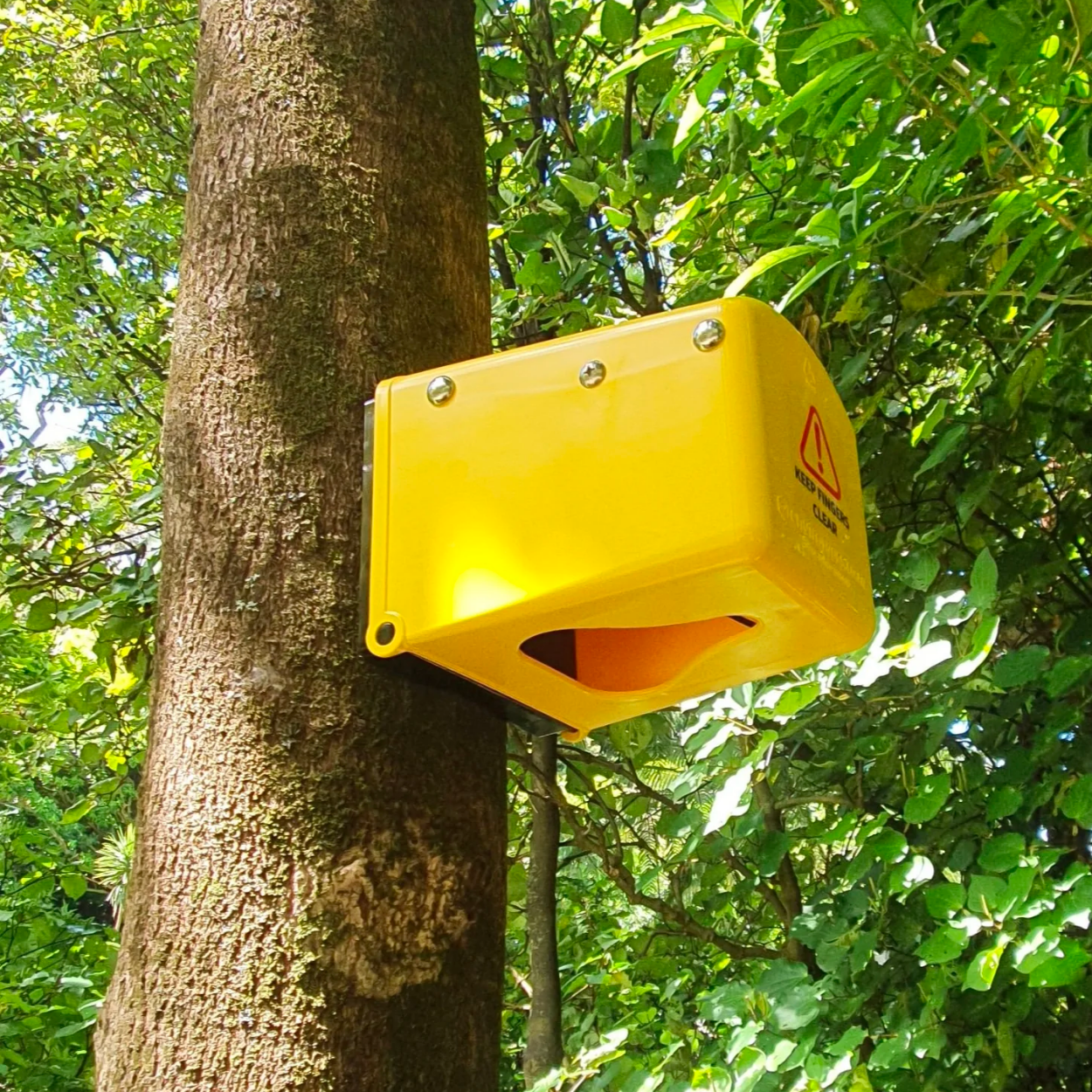 Flipping Timmy trap that has been mounted to a tree.