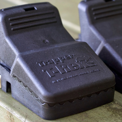 3 pack of T-Rex rat traps