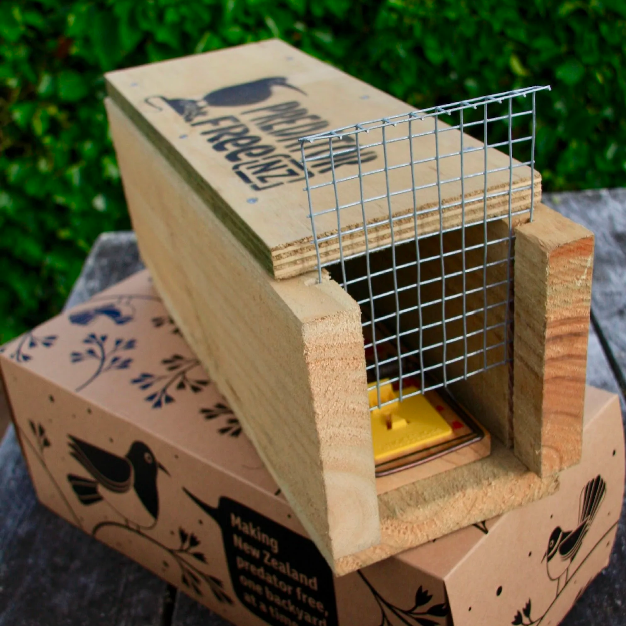 Wooden trap tunnel for weka with Victor Professional trap inside