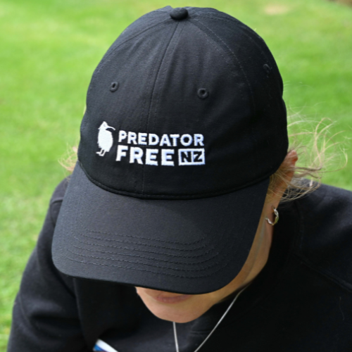 Predator Free New Zealand cap (incl. shipping)