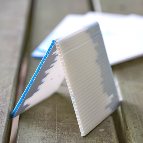 20 pack of chew cards