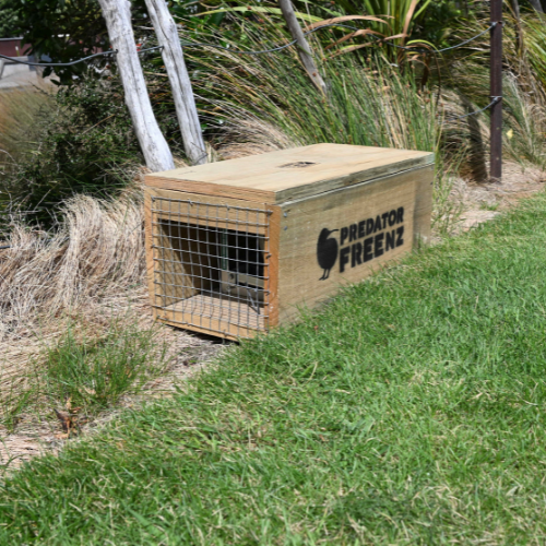 DOC 200 trap for stoats, rats and hedgehogs