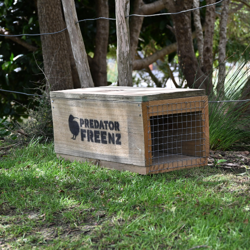 DOC 200 trap for stoats, rats and hedgehogs