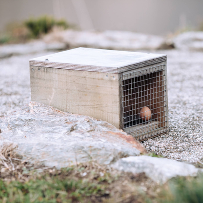 DOC 200 trap for stoats, rats and hedgehogs