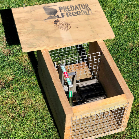 DOC 200 trap for stoats, rats and hedgehogs
