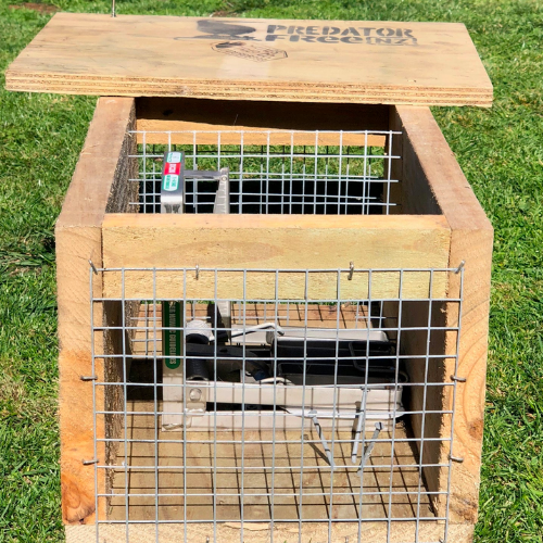 DOC 200 trap for stoats, rats and hedgehogs