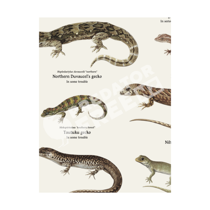 PFNZ Lizard poster focus point