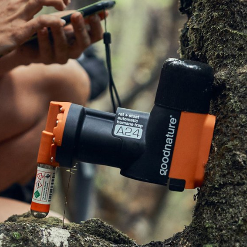 Goodnature Smart Trap mounted on a tree.