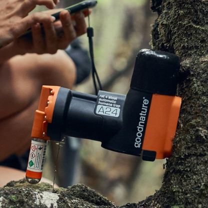 Goodnature Smart Trap mounted on a tree.