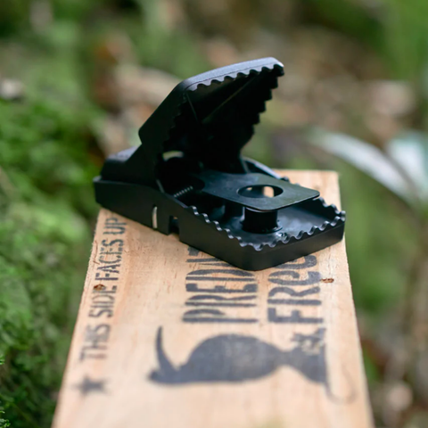 T-Rex rat trap in tunnel