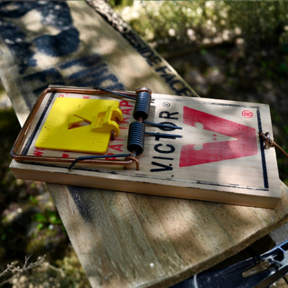 Victor Professional rat trap & tunnel