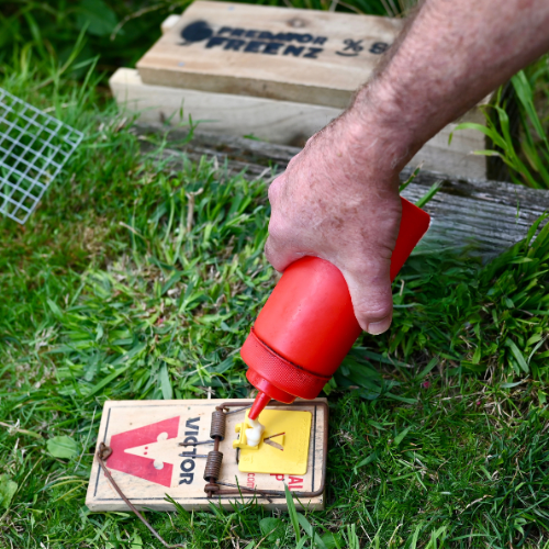 Victor Professional rat trap & tunnel